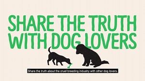 The dog of your dreams could be sitting in a dark room right now. 😢💔 Join us in the fight to take down the cruel breeding industry. #BarredFromLove | ASPCA