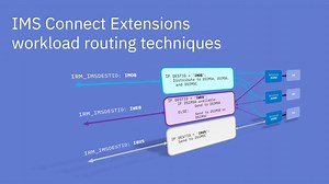 IMS Connect Extensions workload routing techniques