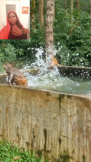 Me right now how I'm feeling Jumping inside the pool with no interference Lord to stop | Perfect ebeyose entertainment