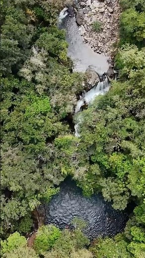 Puente de Dios en Tamasopo, San Luis Potosí
