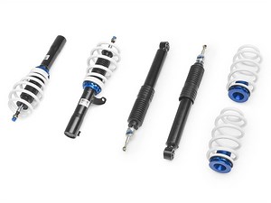 Volkswagen Jetta MK6 Primo Adj Damping Coilovers (55mm w/Independent Rear) - Raceland