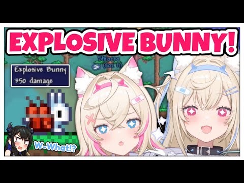 FuwaMoco learns about EXPLOSIVE BUNNY in Terraria…