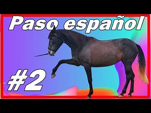 ✅✋#2 🐎PASO ESPAÑOL desde CERO🐴 Como enseñar el PASO ESPAÑOL paso a paso. ERRORES que hay que evitar.