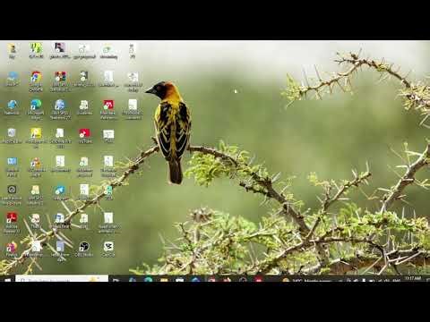 How to install and use Mendeley Reference Manager for citation, 2025