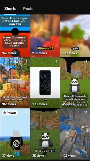 please support I just want a pc 🥲 #shorts #viral #ips #neet #minecraft