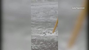 1.5K views · 49 reactions | Video footage showed hail and rain flooding streets in the Canadian town of Lindsay, Ontario, after a fierce hail storm lashed the town Intense hail storm batters Canadian town | Reuters | Facebook