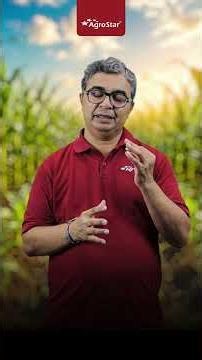 Maximize Profits in Less Time with Sweet Corn Farming | Sweet Corn Farming Business Tips | #shorts