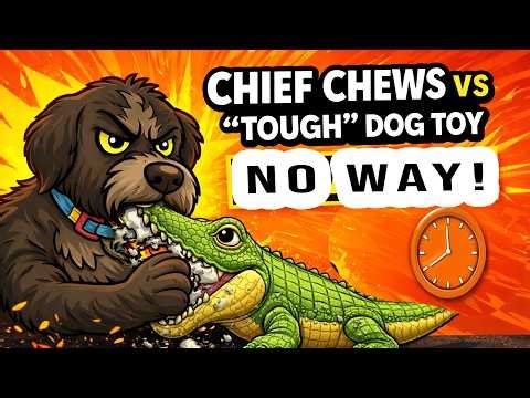 Chief Chews vs WOWBALA “Tough” Dog Toy - Timed Destruction Test