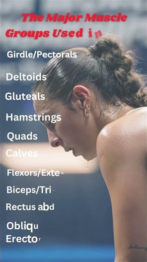 Muscles use in squash #squashmuscles #badminton