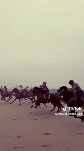 3-Day Equestrian Trek: A Horse Lover's Adventure