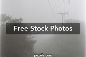 Free Telegra.Ph+Swissarts+Alissa Photos