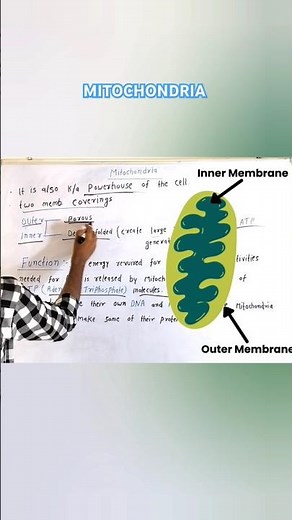 Mitochondria: The Powerhouse of Your Cells (Explained Briefly) By MK Sir ! ‪@BiologyWithMK1415‬