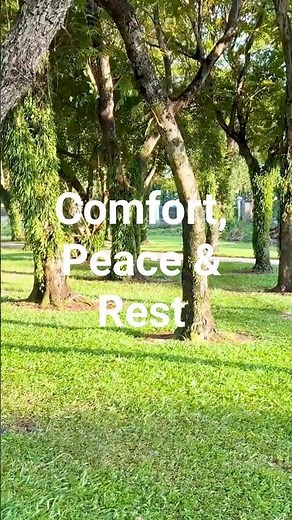 5 Powerful Promises of God | Comfort, Peace & Rest | Bible Verses for the Weary