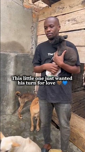 When a Rescue Dog Hugs You Back 🥹💔 | Shelter Morning Moments