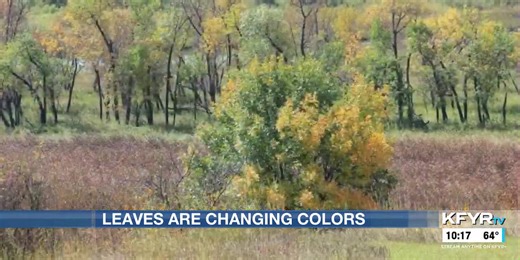 Why do leaves change color in the fall?