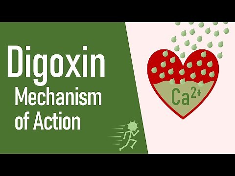Digoxin - Mechanism of Action