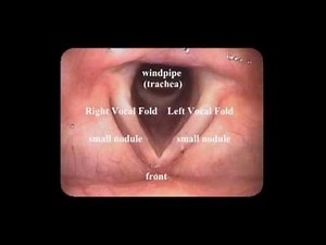 National Anthem Vocal Folds Revealed