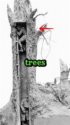The Fake Tree During WW1 #ww1 #history