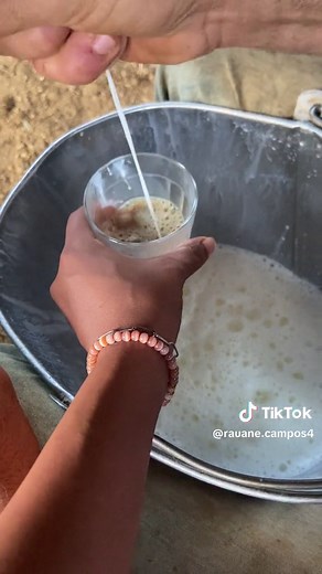 rauane campos no TikTok