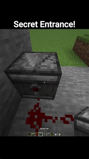 Minecraft: Secret Entrance #minecraft #shorts