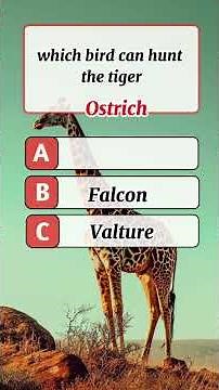 animal quiz #quiz #iq #quiztime #quizshow #viralvideo