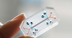 A Chip That Mimics Human Organs Is the Design of the Year