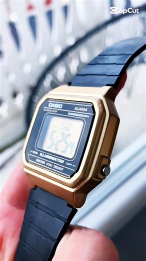 Casio W-217H Module 3454