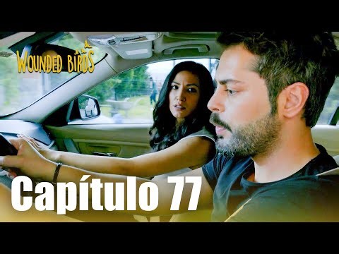 Omer Sueños Robados | Capítulo 77 (versión larga)