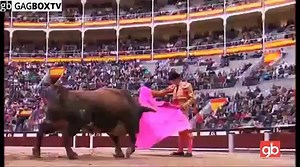 Bull Fighting Extreme Fail Compilation