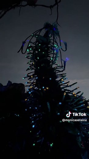 Explore the Magical Night at Pandora in Animal Kingdom