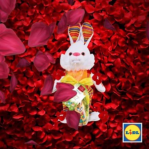 Can you guess the four films our Happy Hopper toy is starring in? Turn on sound for full effect 🔊 In stores now, only €9.99 🐰 | Lidl Ireland