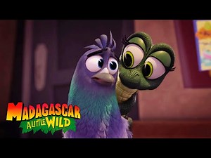 Ant'ney's Baby Alligator | MADAGASCAR A LITTLE WILD