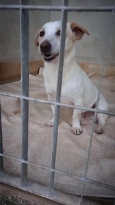 2.8K views · 161 reactions | SE VI INTERESSA LA SORTE DI MARIO .....