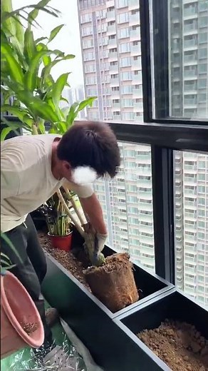 You can create a tropical running water scene on the closed window balcony. It's so cozy.