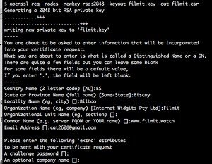 Configurando HTTPS   NGINX   PositiveSSL de Comodo