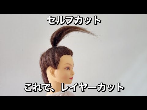 [Self-cut] Topknot Layers! Can you cut it in layers?