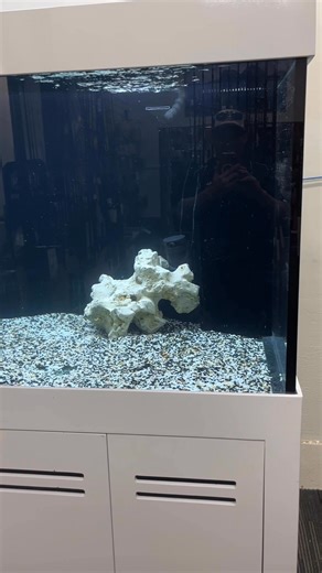1.9K views · 16 reactions | Got the new aquarium plumbing done , so fiat so good! Will add about 25kg of sump media from my big home aquarium tomorrow to speed up the cycling so we can add the fish next week! 2 x 50cm Azul Peacock Bass , male & female, hopefully they breed! #portadelaideaquariums #monsterfishtank #monsterfishkeeper #tacklehub #rayandannestackle @top fans | Ray & Anne's Tackle & Marine | Facebook