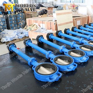 [Hot Item] Extension Spindle Stem Wafer Lugged Type Butterfly Valve