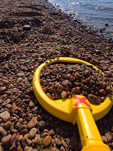 Discover The X Findings - Unfreeze My Account!