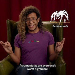 99 reactions · 3 comments | Fantastic Beasts are sometimes rather spooky, but there are many that are majestic, and some are, well, boring. Revisit the wonderful creatures of the Wizarding World in ‘Fantastic Beasts and Where To Find Them’: adbl.co/wizardingworld | Audible | Facebook