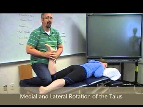 Ankle and Foot Mobilizations