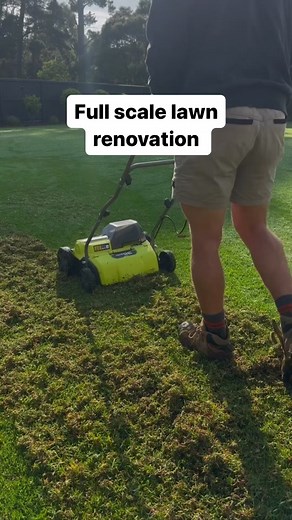 Transform Your Lawn into a Lush Oasis | Ultimate Renovation Guide