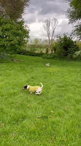 65K views · 2.1K reactions | We thought you may all like a...