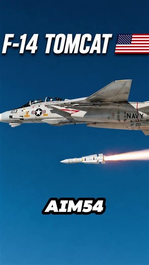 America’s Legendary F-14 Tomcat