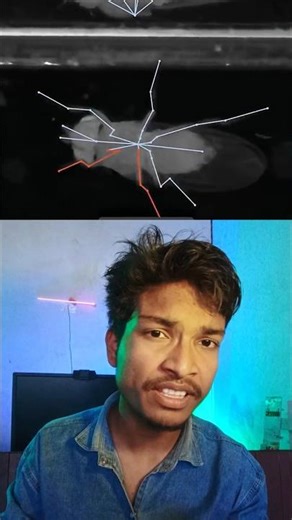 Scientists Copied a Brain?! 🧠 Fruit Fly Mind Running in a Computer 😳