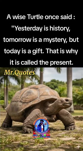 Wise Turtle Quotes for Daily Inspiration
