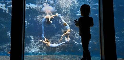 Video tour of Weeki Wachee Springs State Park