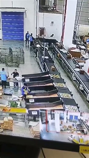 How to Make Your Warehouse More Efficient# #machine#efficiency