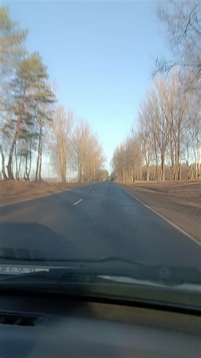 В пути за мечтой