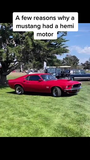 mruniqueone on TikTok